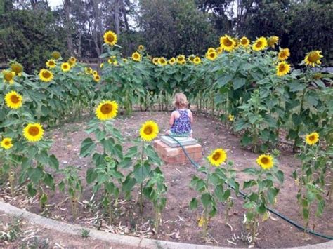 25 Beautiful Sunflower Backyard Design For Your Garden Ideas Outdoor Play Spaces Sunflower