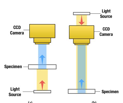 Trans Illumination A And Epi Illumination B In Brightfield