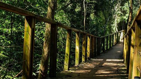 Salto Encantado Una Perla Misionera