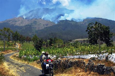 Hutan Gunung Sumbing Terbakar Jalur Pendakian Ditutup