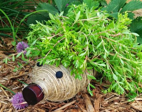 Cute Diy Hedgehog Planter Made From A Plastic Bottle