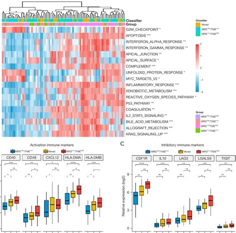 Differences In The Cellular Signaling Pathways Among Different Mrs Tme