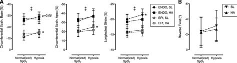 Left Ventricular Twist Is Augmented in Hypoxia by β1 Adrenergic