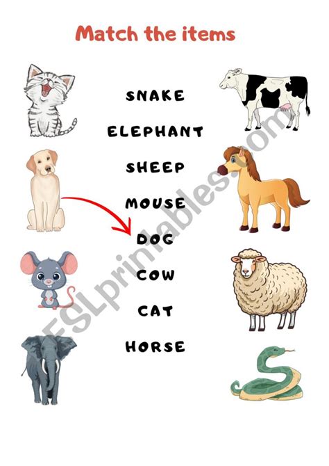 Basic Animal Matching Esl Worksheet By Teachingbuddies