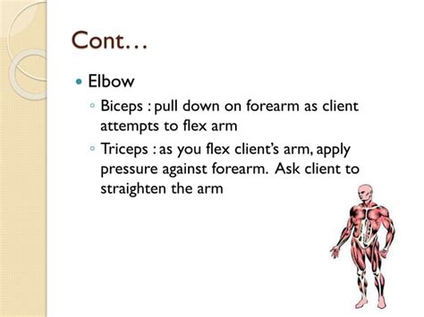 Examination Of Musculoskeletal System PPT