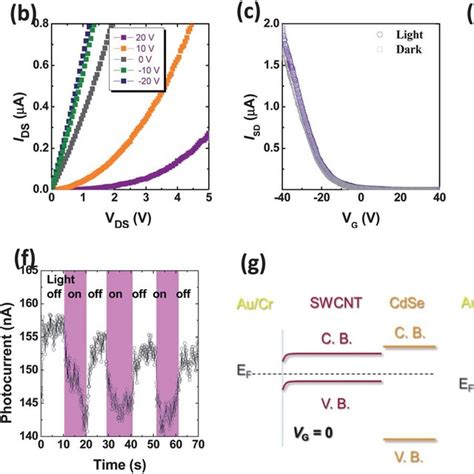 A Schematic Of A Back Gated Swcnt Fet With Selective Cdse Nc Coating Download Scientific