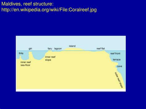 Ppt Maldives Satellite View Big Enwikipediawikifilemaldives