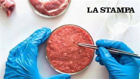 La Carne Coltivata Danneggia L Agricoltura Francia E Austria Alleati