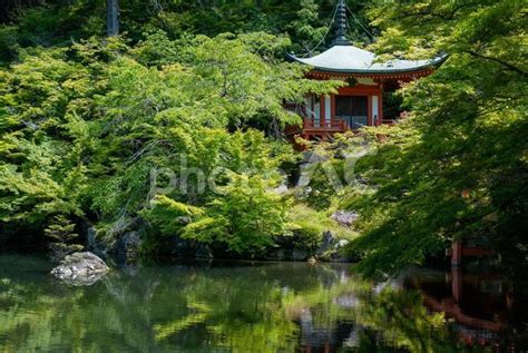 京都 醍醐寺 弁天堂 No 26904807｜写真素材なら「写真ac」無料（フリー）ダウンロードok