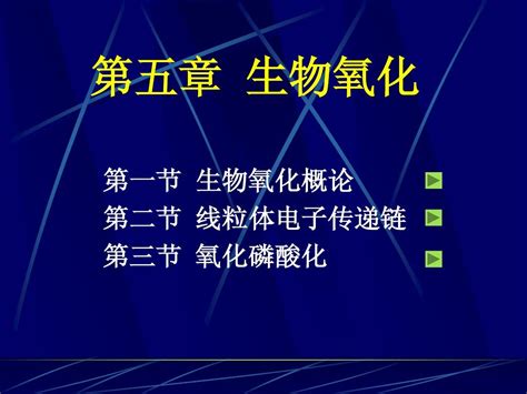 生物化学 第五章 生物氧化word文档在线阅读与下载无忧文档