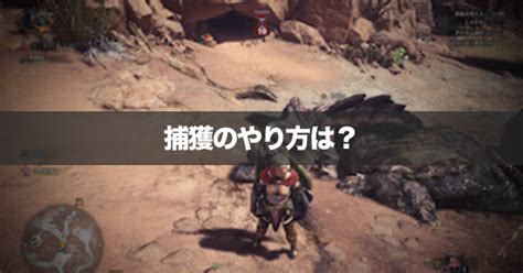 【mhwアイスボーン】捕獲の方法とタイミングの目安【モンハンワールド】｜ゲームエイト