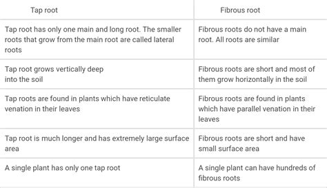 Differentiate between tap root and fibrous root.