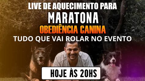 Maratona Da Obedi Ncia Canina Tudo Sobre O Que Vai Rolar No Evento