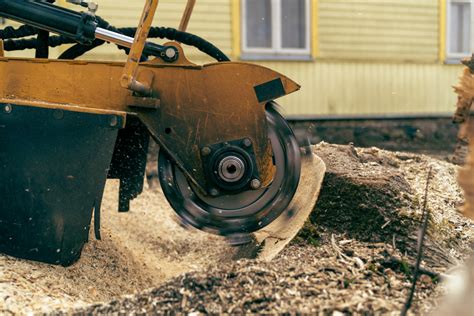 Stump Grinding Eugene Or Highland Tree Service Llc