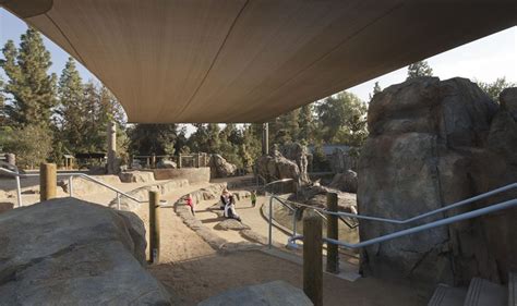 Fresno Chaffee Zoo Sea Lion Cove Projects Matt Construction