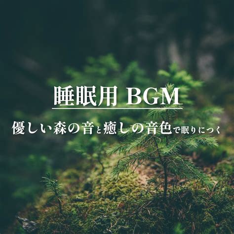 Bgm For Sleep Gentle Forest Sounds And Soothing Tones To Help You Fall