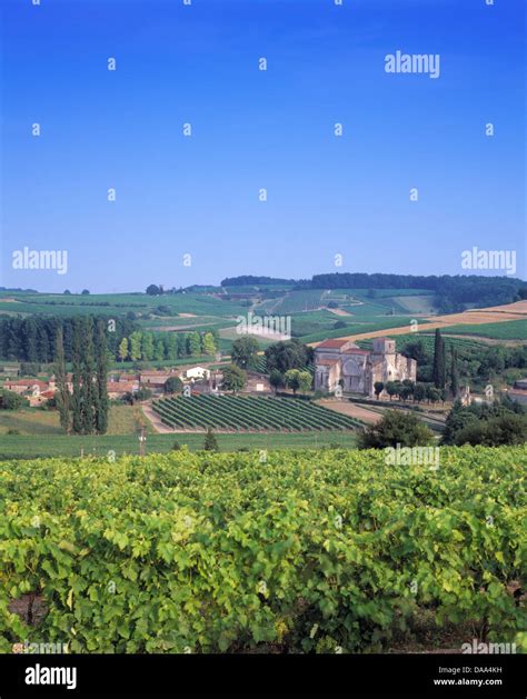 Landscape Cognac region France French Wine Region Stock Photo - Alamy