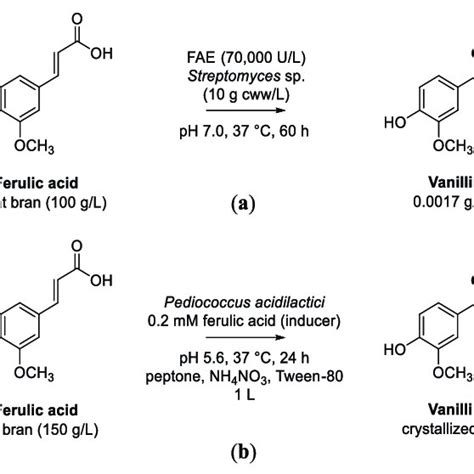 Scheme Enzymatic Cascades From Ferulic Acid To Vanillin Or Its