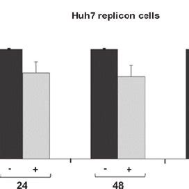 Expression Levels Of Hcvrna Measured By Rtqpcr Ct Huh Hcv