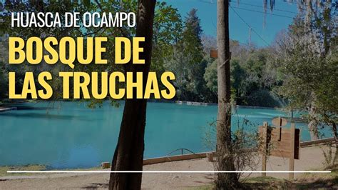 Bosque De Las Truchas En Huasca De Ocampo Youtube