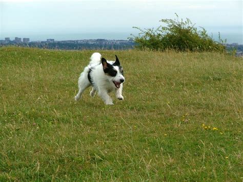 Jr Up To Speed Les Chatfield Flickr