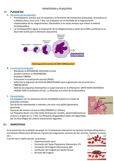 Hemostasia Y Plaquetas Hemostasia Y Plaquetas I Plaquetas A