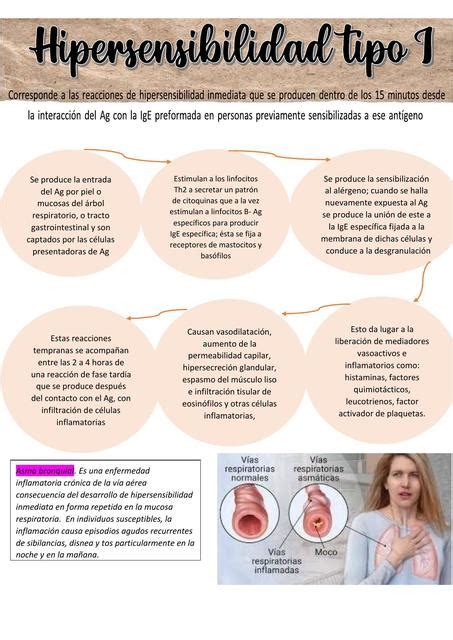 Infografia Hipersensibilidad Tipo 1 Docsity UDocz