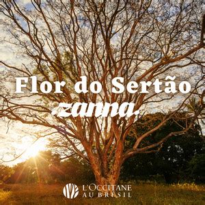 Amburana ao Sol playlist by LOccitane au Brésil Spotify