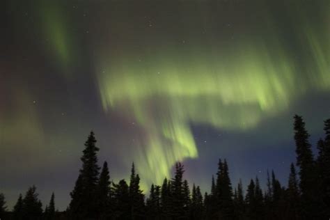 Northern Lights of Labrador City | Northern lights, Labrador city ...