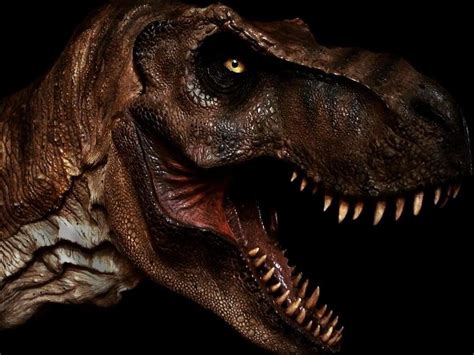 Extinci N De Los Dinosaurios El Tiranosaurio Rex