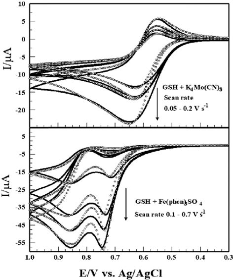 Experimental Solid Line And Simulated Open Circles Cv Response Of