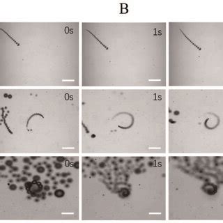 Propulsion Performance Of Mwcnt Mno Micromotors Loading With Different