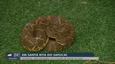 Jornal da EPTV 1ª Edição Sul de Minas Aparecimento de cobras e