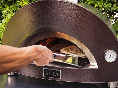 Oven Moderno 1 Pizza Oven For Home Use Alfaforni