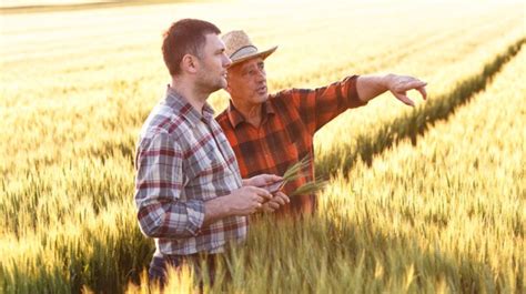 Comment les agriculteurs voient leur métier