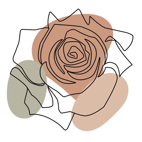 Aesthetic Rose Line Art Collection 21445453 PNG