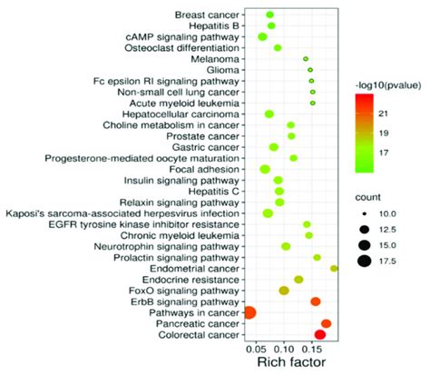 Bubble Graph Of The Kegg Enrichment Pathway Analysis The Rich Factor