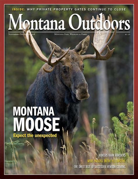 What are Female Moose Called? Unveiling the Mysteries of the Majestic
