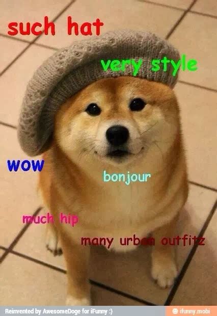 Awesome Doge: French looking doge