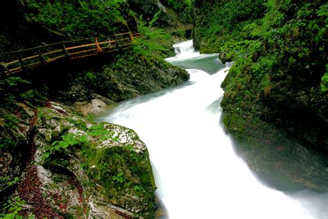 20 Beautiful Vintgar Gorge Photos To Inspire You To Visit Slovenia