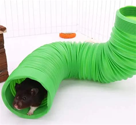 10 Best Guinea Pig Tunnels Reviewed in 2024 | TheGearHunt