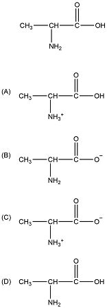 Which Structure Corresponds To The Predominant Form Of The Following