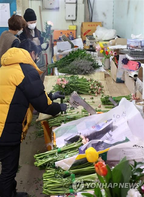 코로나19 장기화 속 온라인 판로 개척한 화훼 농가 연합뉴스