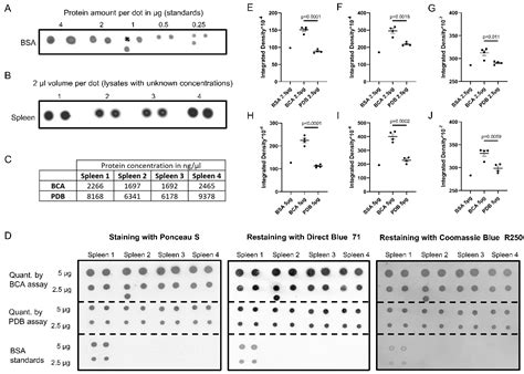 Gels Free Full Text A Ponceau S Staining Based Dot Blot Assay For