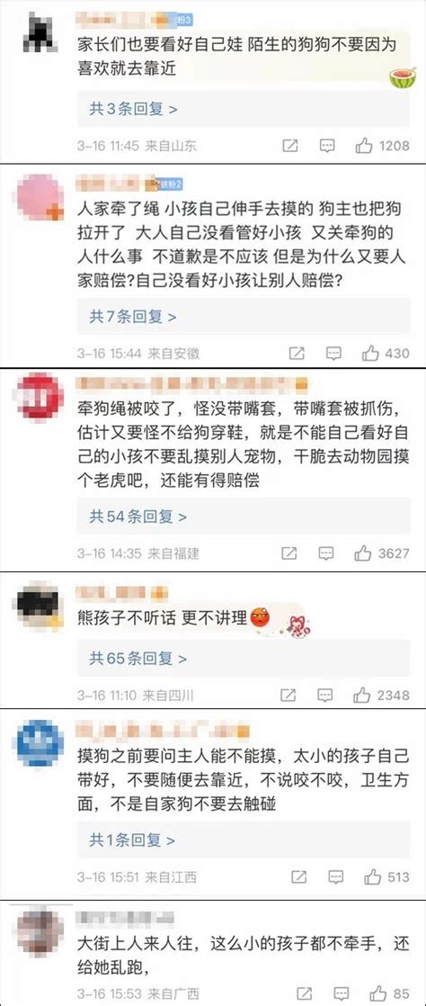 女童摸狗被咬，家长怒斥不赔偿不道歉！网友却说