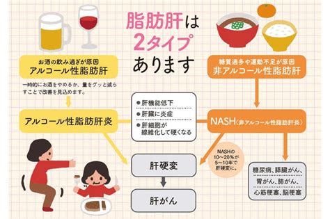 肝臓の脂肪は万病のもと、中性脂肪、脂肪肝。1日おきの「断食」ダイエット。変形性膝関節痛。 Catastrophe Cataclysmic