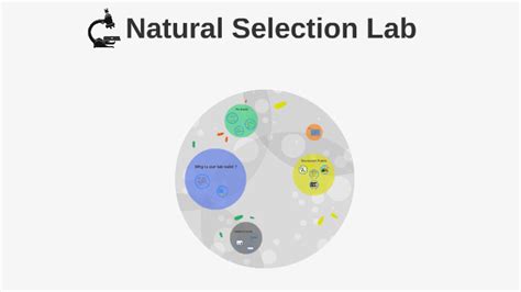 Natural Selection Lab By Yuri Singh On Prezi