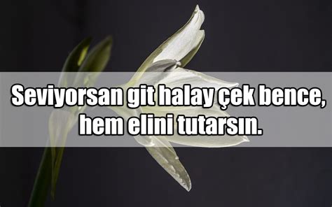 En Güzel Halay İle İlgili Sözler Aşk Sözleri Güzel Sözler Anlamlı