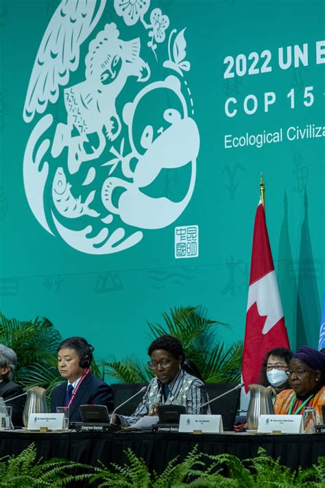 Delegados Votan En Cop Propuesta Para Un Acuerdo Global Sobre