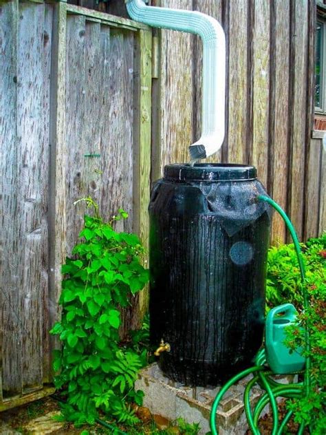 6 Of The Best Rain Barrels That Experts Are Using In 2024 World Water